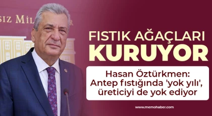Hasan Öztürkmen: Fıstık ağaçları kuruyor