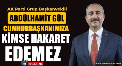 Abdülhamit Gül: Cumhurbaşkanımıza Kimse Hakaret Edemez!