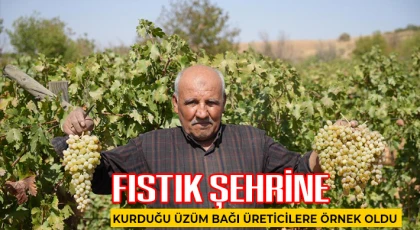 Fıstık şehrine kurduğu üzüm bağı üreticilere örnek oldu