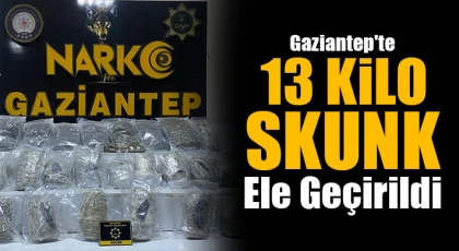 Gaziantep'te 13 kilo skunk ele geçirildi