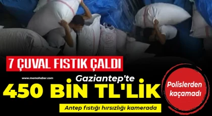 Gaziantep'te 450 bin TL değerindeki fıstığı çalan hırsız yakalandı