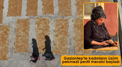 Gaziantep'te kadınların üzüm pekmezli pestil mesaisi başladı