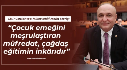 Meriç: Çocuk emeğini meşrulaştıran müfredat, çağdaş eğitimin inkârıdır