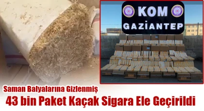 Saman balyalarına gizlenmiş 43 bin paket kaçak sigara ele geçirildi