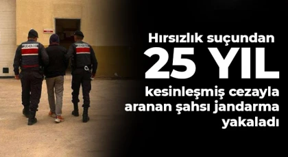 Hırsızlık suçundan 25 yıl kesinleşmiş cezayla aranan şahsı jandarma yakaladı