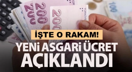 Asgari ücret açıklandı!