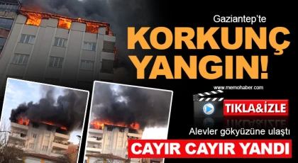 Gaziantep'te dehşet verici görüntü: Cayır cayır yandı 