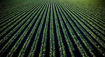 Holder Pompası Nedir, Ne İşe Yarar?