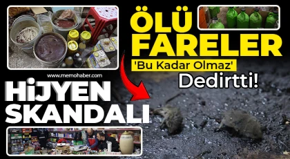 Kilis'te Hijyen Skandalı! Ölü fareler 'bu kadar olmaz' dedirtti