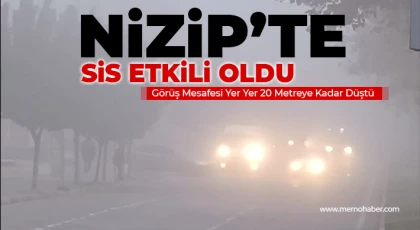 Nizip’te Sis Etkili Oldu: Görüş Mesafesi Yer Yer 20 Metreye Kadar Düştü