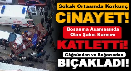 Yol ortasında eşini bıçaklayarak öldürdü