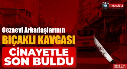 Cezaevi arkadaşlarının bıçaklı kavgası cinayetle son buldu