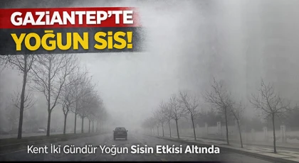 Gaziantep'te 2 gündür yoğun sis etkili oluyor
