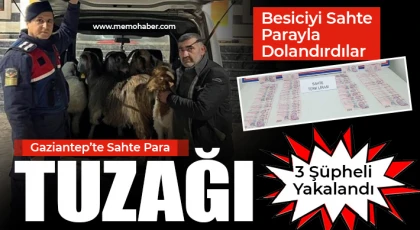Gaziantep’te Sahte Parayla Hayvan Aldılar, Jandarma Yakaladı
