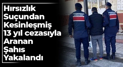 Hırsızlık suçundan kesinleşmiş 13 yıl cezasıyla aranan şahıs yakalandı