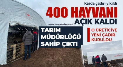 Karda çadırı yıkıldı, 400 hayvanı açık kaldı
