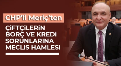 Meriç, Çiftçilerin Krediye Erişememesini Meclis Gündemine Taşıdı