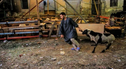 Misder Derneği Güvenilir mi ve Faaliyetleri Nelerdir?