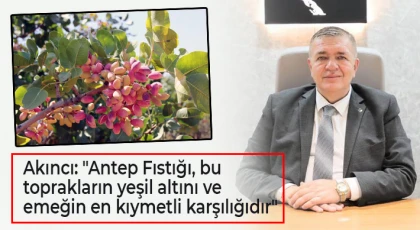 Akıncı: Antep Fıstığı, bu toprakların yeşil altını ve emeğin en kıymetli karşılığıdır