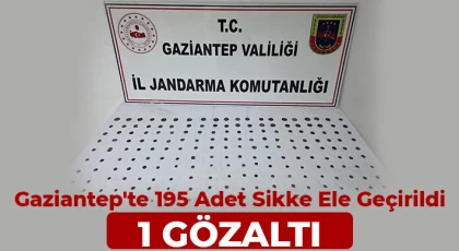  Gaziantep'te 195 adet sikke ele geçirildi: 1 gözaltı