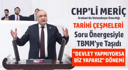 CHP’li Meriç, Araban’da Vatandaşın Onardığı Tarihi Çeşmeleri Soru Önergesiyle TBMM’ye Taşıdı
