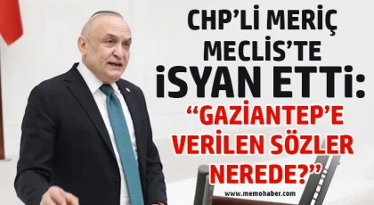 CHP’li Meriç Meclis’te İsyan Etti: “Gaziantep’e Verilen Sözler Nerede?”