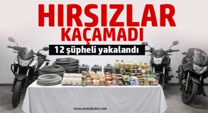 Gaziantep’te Jandarmadan Hırsızlık Operasyonu: 12 Şüpheli Yakalandı