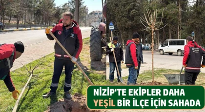 Nizip'te ekipler daha yeşil bir ilçe için sahada