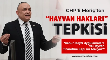 CHP’li Meriç’ten “Hayvan Hakları” Tepkisi