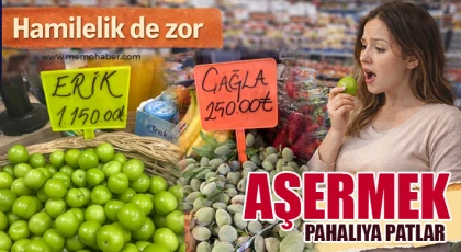 Hamilelik de zor! Aşermek pahalıya patlar 