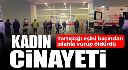 Tartıştığı eşini başından silahla vurup öldürdü