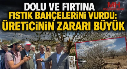 Dolu ve Fırtına Fıstık Bahçelerini Vurdu: Üreticinin Zararı Büyük