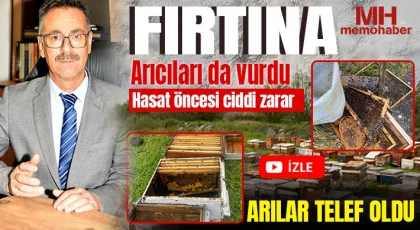 Fırtına arıcıları da vurdu! Arılar telef oldu 