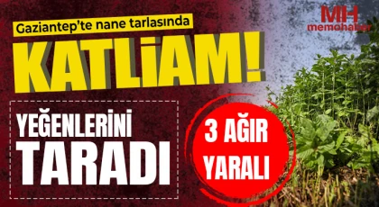 Gaziantep'te nane tarlasında katliam: Yeğenlerini taradı