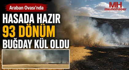 Araban Ovası’nda hasada hazır 93 dönüm buğday kül oldu