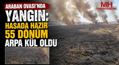 Araban Ovası'nda yangın: Hasada hazır 55 dönüm arpa kül oldu
