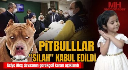 Asiye Ateş davasının gerekçeli kararı açıklandı
