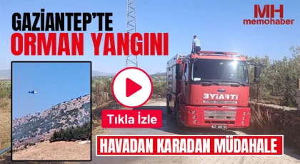 Gaziantep’te orman yangını: Havadan karadan müdahale