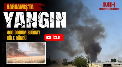 Karkamış’ta yangın: 400 dönüm buğday küle döndü