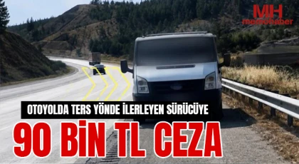 Otoyolda ters yönde ilerleyen sürücüye 90 bin TL ceza