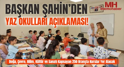 Şahin’den yaz okulları açıklaması