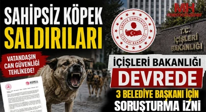 Sahipsiz köpek saldırıları: 3 belediye başkanı için soruşturma izni