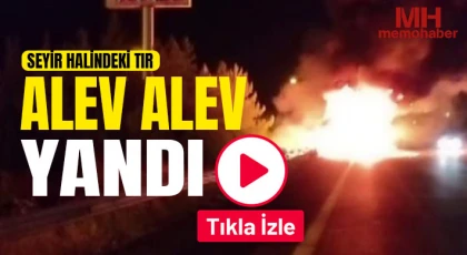 Seyir halindeki tır alev alev yanarak kullanılamaz hale geldi