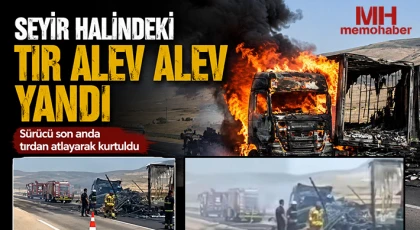 Seyir halindeki tır alev alev yandı