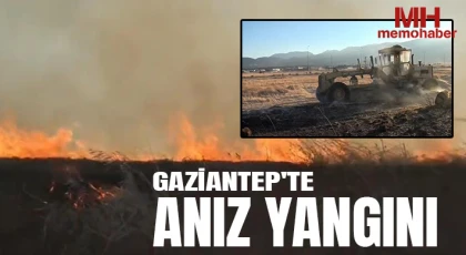 Gaziantep'te anız yangını