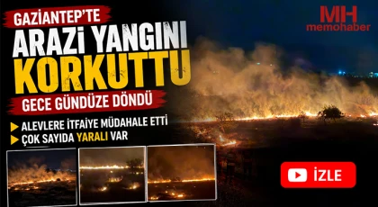 Gaziantep'te arazi yangını korkuttu!