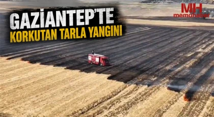 Gaziantep’te korkutan tarla yangını