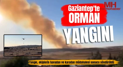 Gaziantep'te orman yangını