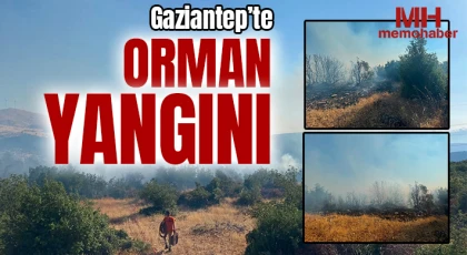Gaziantep'te Orman Yangını: Ekipler Seferber Oldu