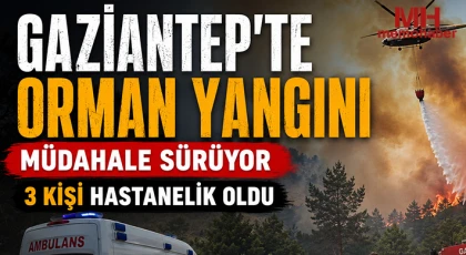 Gaziantep'te orman yangını: Müdahale sürüyor
